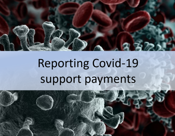 Covid-support-payment-reporting-CMS