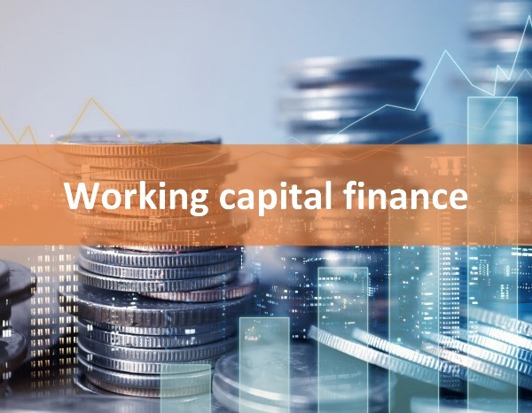 Working Capital Finance explained
